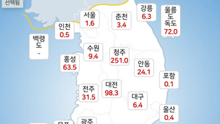 이 시각 미쳤다는 청주 강수량 근황