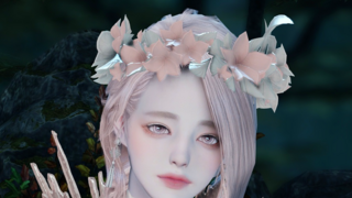 밤에 피는 꽃
