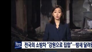 문재인정부때 기억.. 강원도 산불 났을때 2찍들 반응