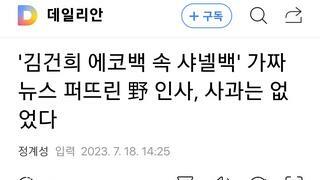 '김건희 에코백 속 샤넬백' 가짜뉴스 퍼뜨린 野 인사, 사과는 없었다