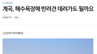 계곡에 반려견 동반된다vs안 된다