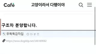 캣맘 비꼬기