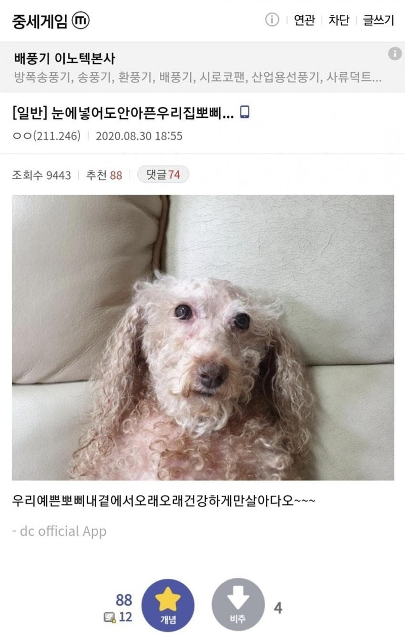 아 이미지