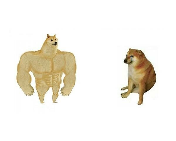 무지개복사 이미지