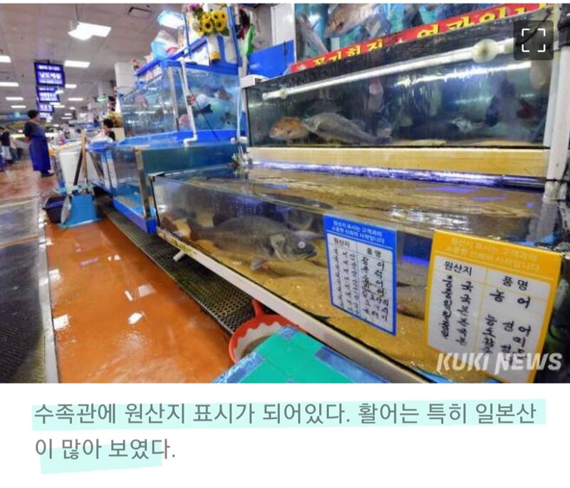 [현장탐방] “제발 조용히 좀 삽시다” 노량진수산시장 회센터 가보니... 인벤 [현장탐방] “제발 조용히 좀 삽시다” 노량진수산시장 회센터 가보니