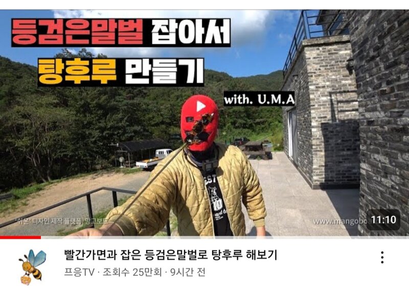 메이플스토리 인벤 : k 탕후루 근황 - 메이플스토리 인벤 자유게시판 k 탕후루 근황
