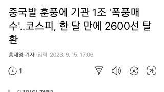 중국발 훈풍에 기관 1조 '폭풍매수'..코스피, 한 달 만에 2600선 탈환