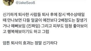 퇴사의 효능