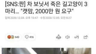 ??? : 위자료로 2000만원 내놔!