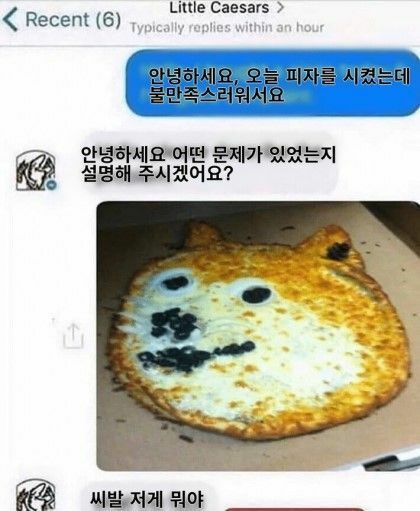 라쿤피자 이미지