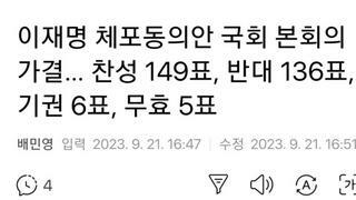이재명당대표 가결? 우울?