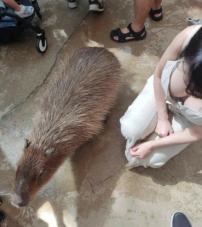 광고쟁이 이미지