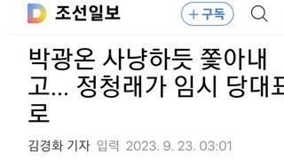 조선일보 화났다.