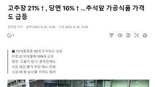 고추장 21%↑, 당면 16%↑…추석앞 가공식품 가격도 급등