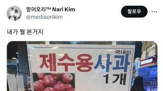 제수용 사과 가격