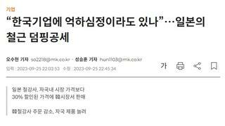 “한국기업에 억하심정이라도 있나”…일본의 철근 덤핑공세