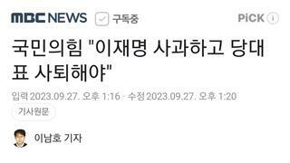 국민의힘 