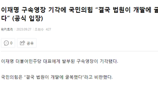 국힘 “결국 법원이 개딸에 굴복했다” 디씨 반응