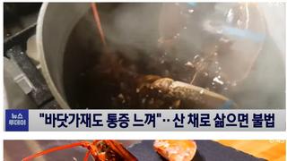 유럽에서 불법인것
