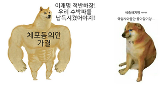 개쫄린 수박