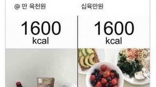 1600 kcal