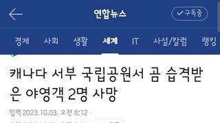 캐나다 국립공원 야영객 곰에게 사망