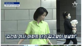 길고양이 사료