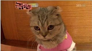 출산율 폭등, 5,000만원 육아수당시작하자 출생아 수 두배로 뛰었다.