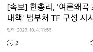 [속보] 한총리, '여론왜곡 조작방지 대책' 범부처 TF 구성 지시