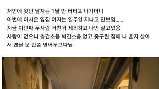 우리 아파트 ㅈ구려서 내 층에 나만 살아ㅋㅋ