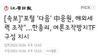 포털 '다음' 中응원, 해외세력 조작