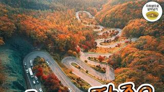 단풍구경 하기 좋은 산