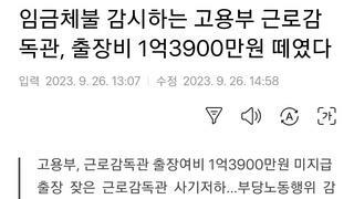 임금체불 감시하는 고용부 근로감독관, 출장비 1억3900만원 떼였다