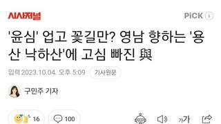'윤심' 업고 꽃길만? 영남 향하는 '용산 낙하산'에 고심 빠진 與