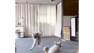 유리벽너머에 주인이있어