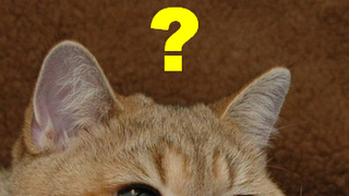 중동사태 가장 위험한 시나리오