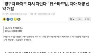  주사 맞으면 빠져도 다시 자란다는 이빨.