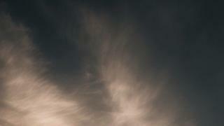 너는 누구 닮아서 공부를 못하는거니