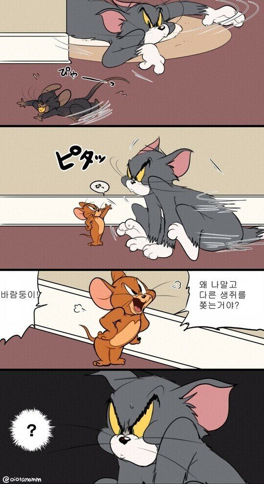 톰과제리 이미지