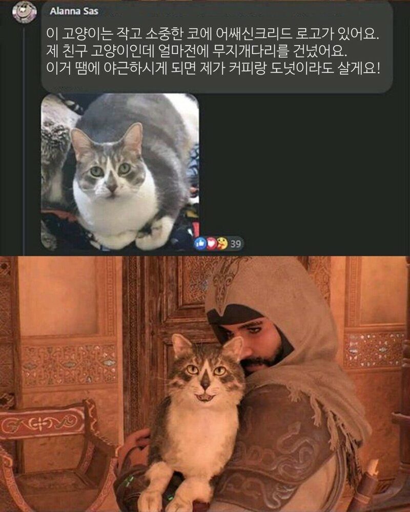 무지개복사 이미지