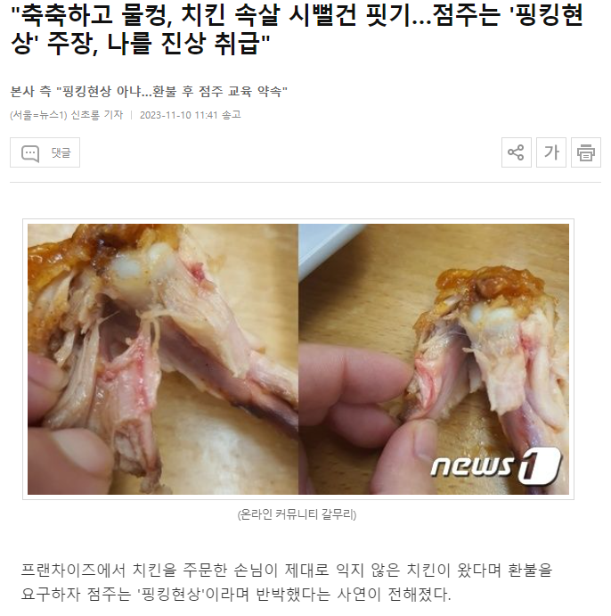 핑킹 이미지