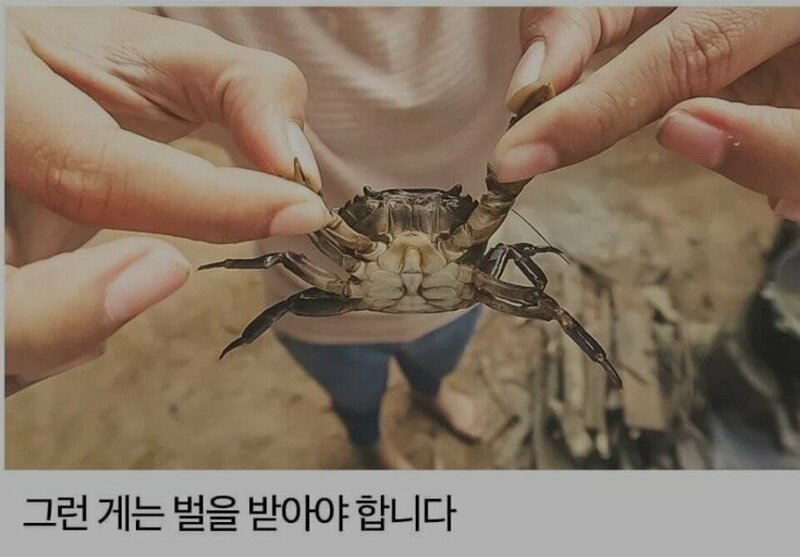 화룡 이미지