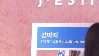 프로는 다르다고 느낀 신인 AV배우