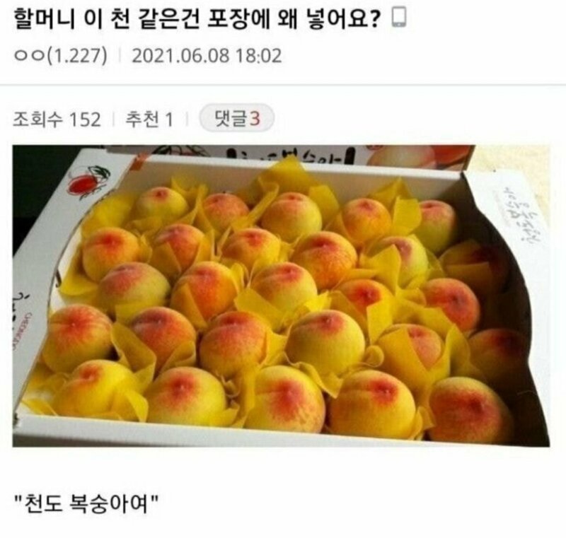 천쪼가리 이미지