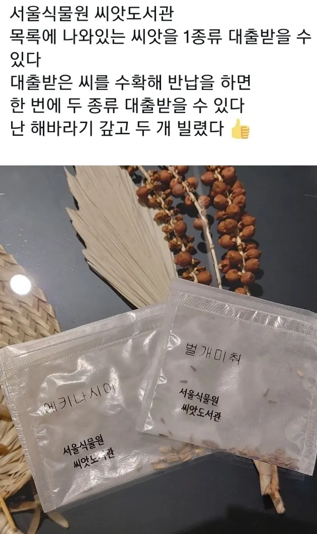 씨앗갤러리 이미지