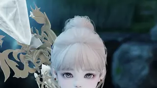 도화가