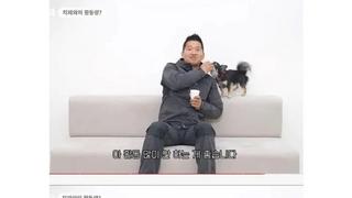 강형욱이 말하는 산책 많이 안시켜도 되는 견종