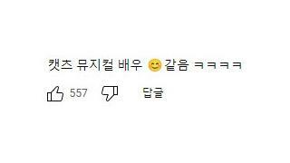 사람 얼굴이 보이는 고양이