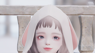토깽이