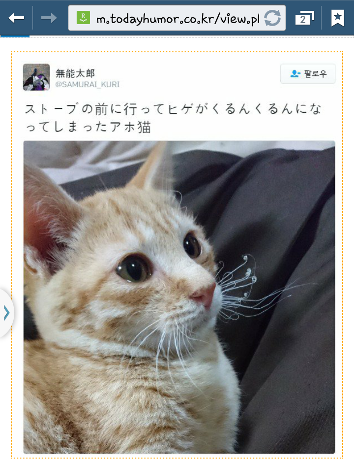 귀인 이미지